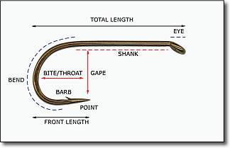 The basics of fishing hooks